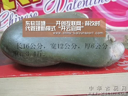 东软荷塘——开创互联网+餐饮时代管理新模式“开云官网”(图1) 开云